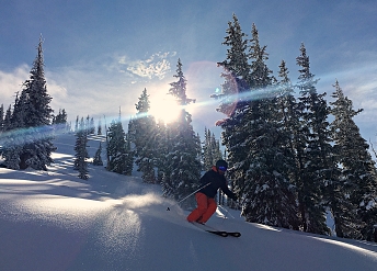 Powder skier Catherine's Area, Alta, Utah