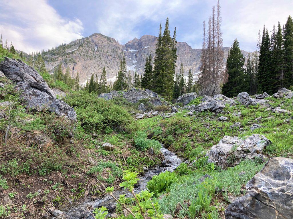 Devil's Castle in Springtime